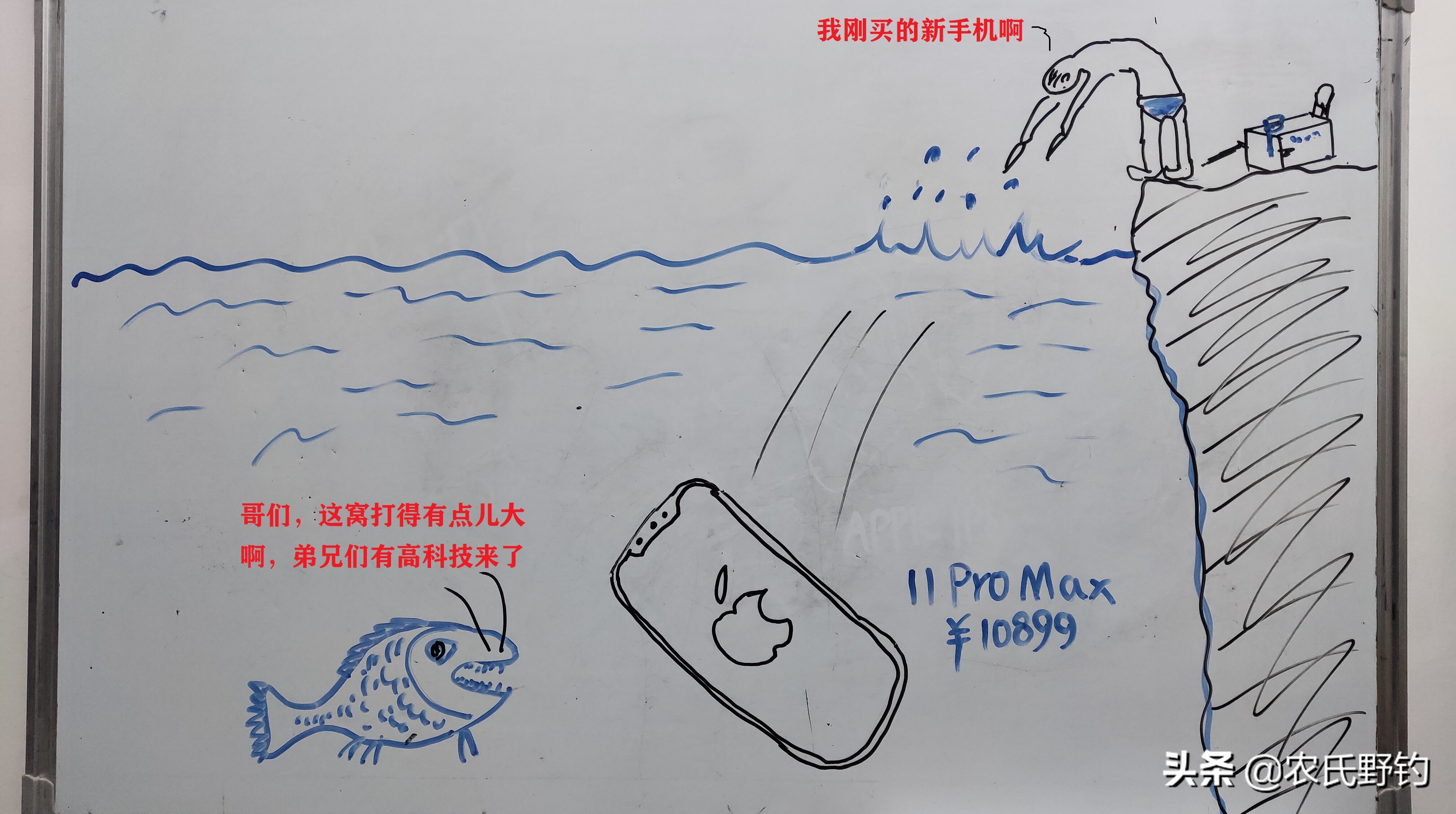 户外野钓钓鱼知识,户外野钓钓鱼常识