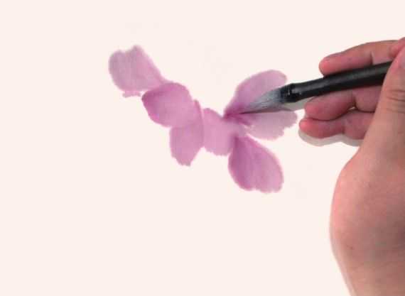 国画知识：牡丹不会画？教你3种牡丹画法，简单易学，快收藏起来