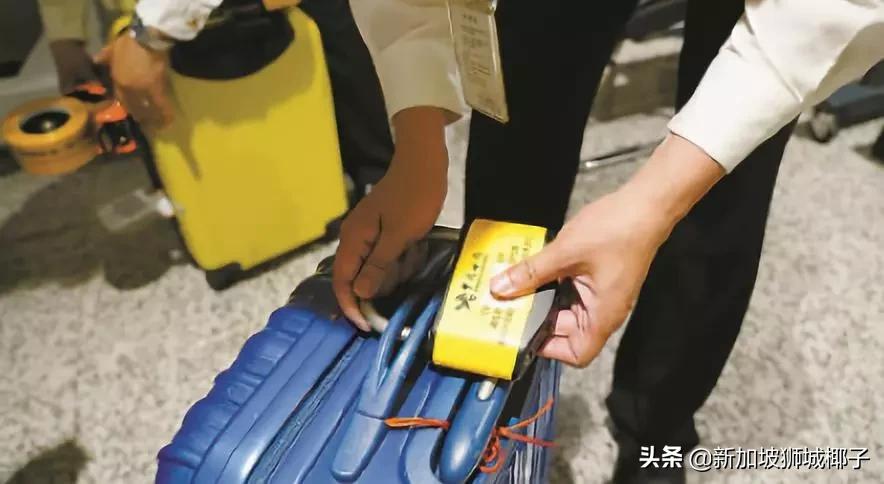 来新加坡海关注意八件事,新加坡进境严禁带什么