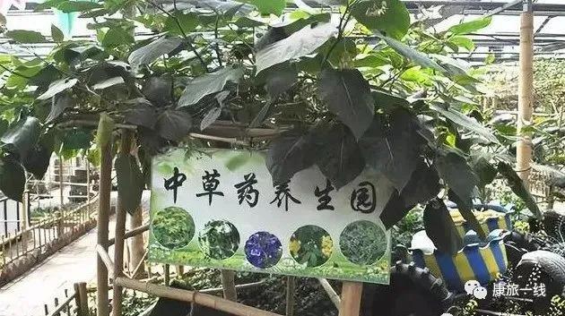 温泉康养旅居抱团养老好地方,养老康养行业前景