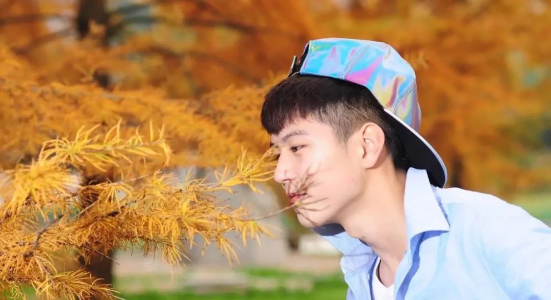 变形计杨桐的近况,变形计杨桐网红现状