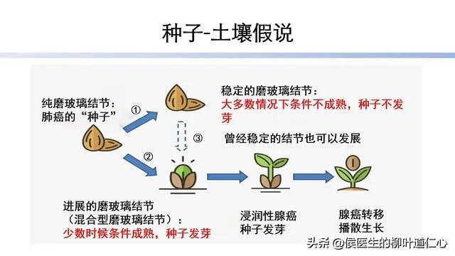 细思极恐的海啸,细思极恐癌症