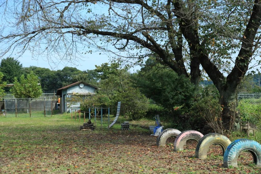 日本动漫为什么那么真实,日本动漫的画质有多厉害