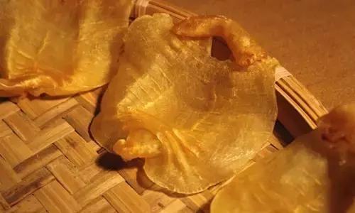 红鸡赤嘴和大耳赤嘴功效,白鳘赤嘴比湛江赤嘴好吗