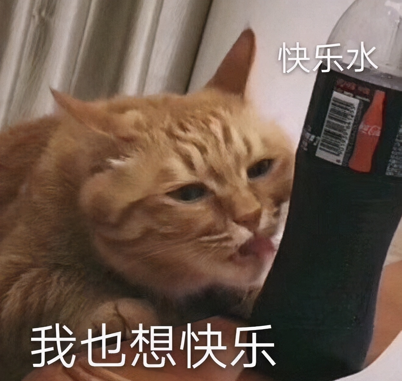 海底捞！你居然也有CP了，这就是世界对肥宅的恶意吗