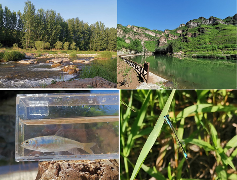 周末游玩避暑尽在密云清凉谷,北京密云冬天游玩攻略