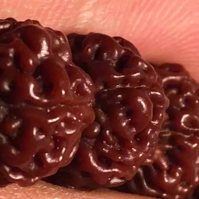 金刚菩提怎么玩才是真的,金刚菩提应该怎么玩