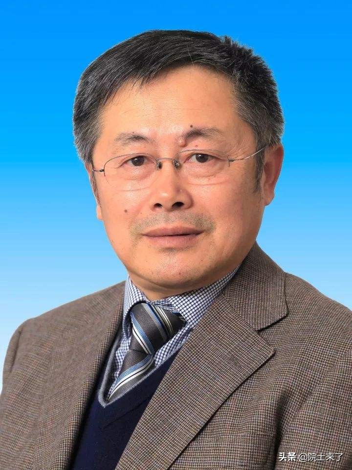 你敢吃扇贝吗,现在有扇贝吃吗