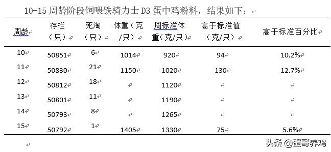 鸡场养雏鸡怎么增加体重,雏鸡怎么管理最健康