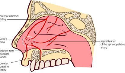 专业医生：冬季鼻出血就得这样处理，请收下这篇健康科普