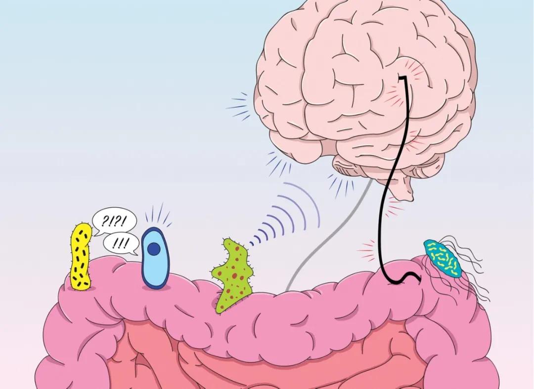 怎么样提高你的大脑效率,大脑的认知能力如何提高