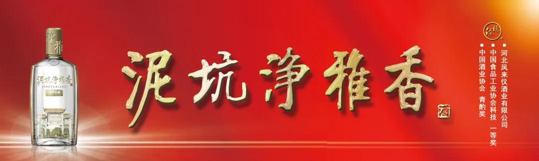 泥坑白酒净雅香,泥坑净雅香价格