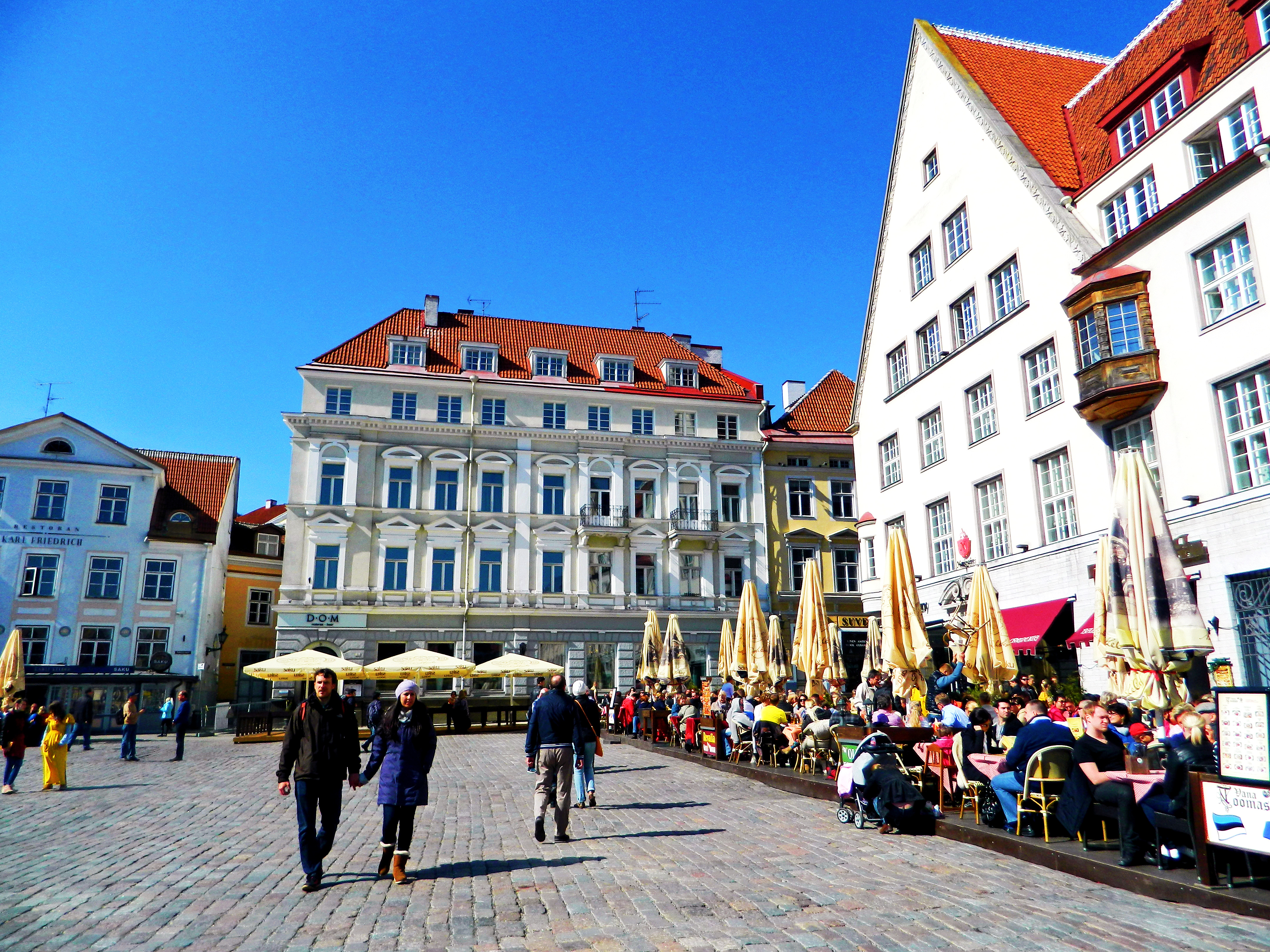 塔林里面有什么,塔林波罗的海舰队