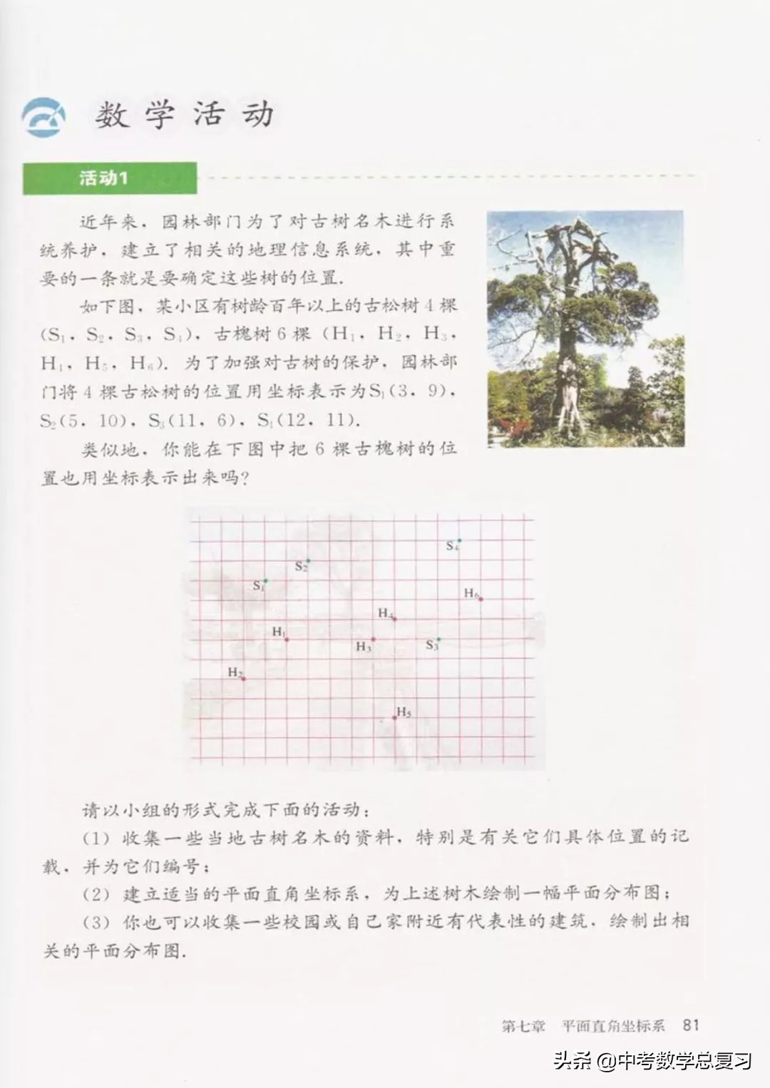 华师大版七年级下册数学电子课本,七年级下册数学北师大版电子课本
