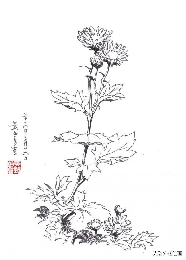 十大顶级钢笔画速写,钢笔速写100幅图片