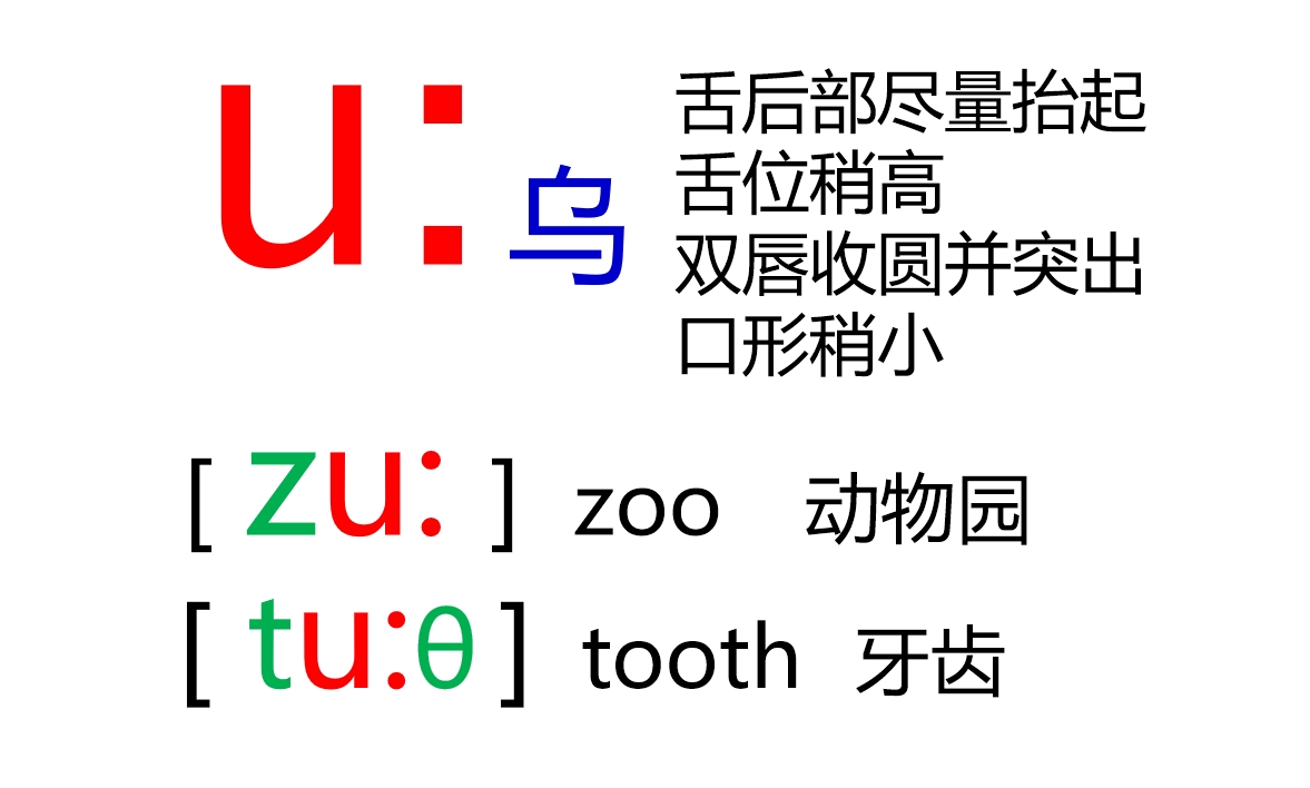 48个音标全套卡片电子版,48个音标卡片