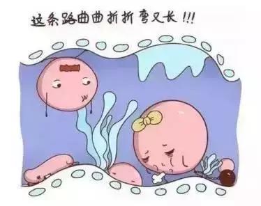 排卵正常就是怀不上？原因可能是这个