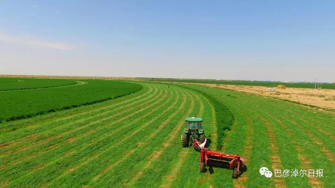 什么是圣牧有机奶,圣牧有机奶