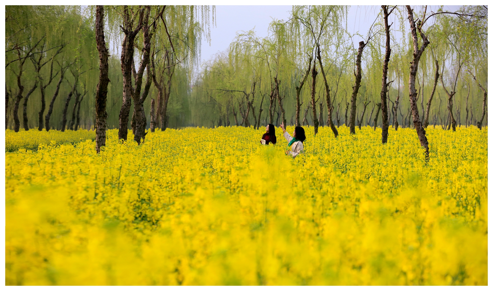 海安市曲塘,江苏海安市曲塘