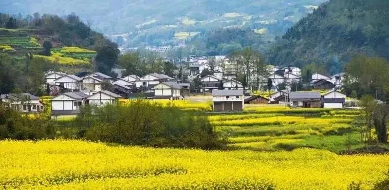 跟着我去丽江古城旅游攻略,跟我去旅行