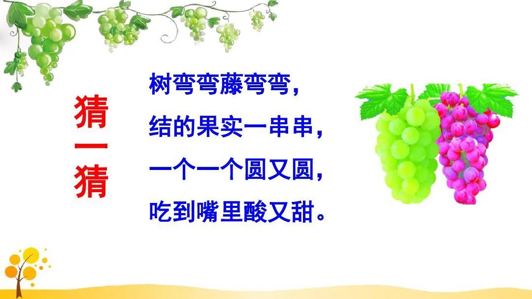 二年级上册第11课葡萄沟课文,二年级语文第11课葡萄沟课文预习