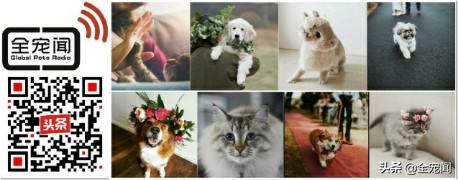 外耳道炎的症状能自愈吗,有什么方法会治好外耳炎