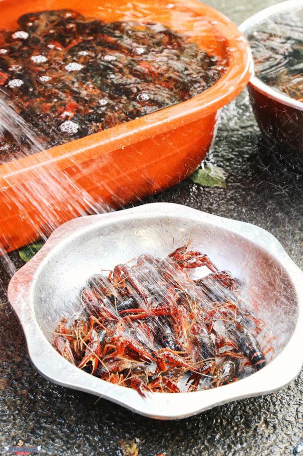 一定不能错过的小龙虾,不能错过的小龙虾