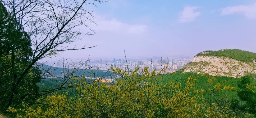 济南适合带孩子去的地方春天,周末遛娃的好去处好玩又免费济南