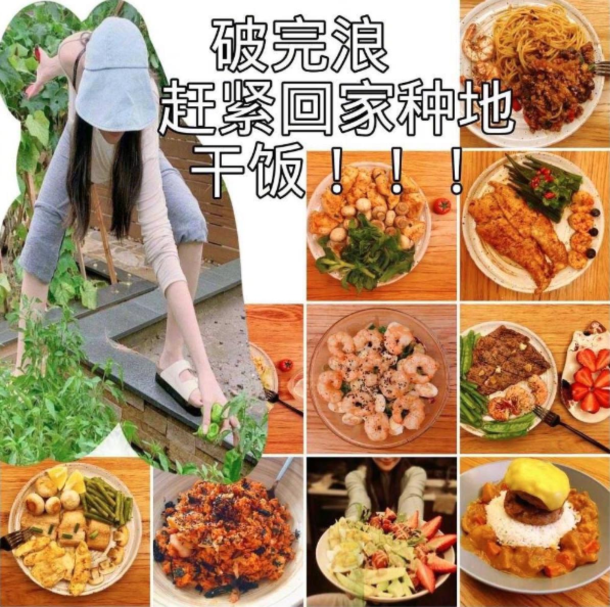 浪姐2张馨予,张馨予浪姐乘风破浪玩游戏