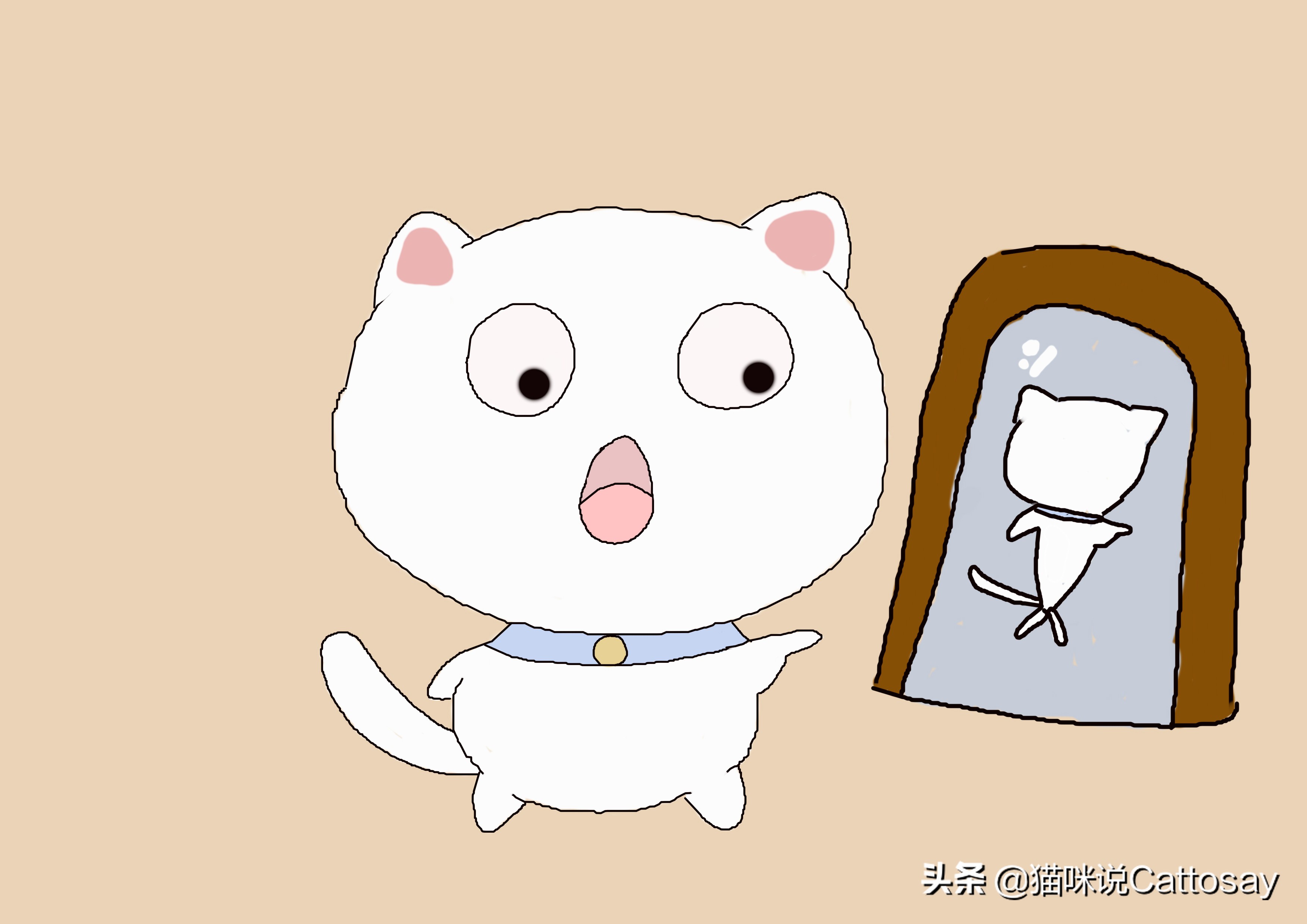 猫过度摄入维生素b会怎样,猫生病后怎么通过饮食给他补营养