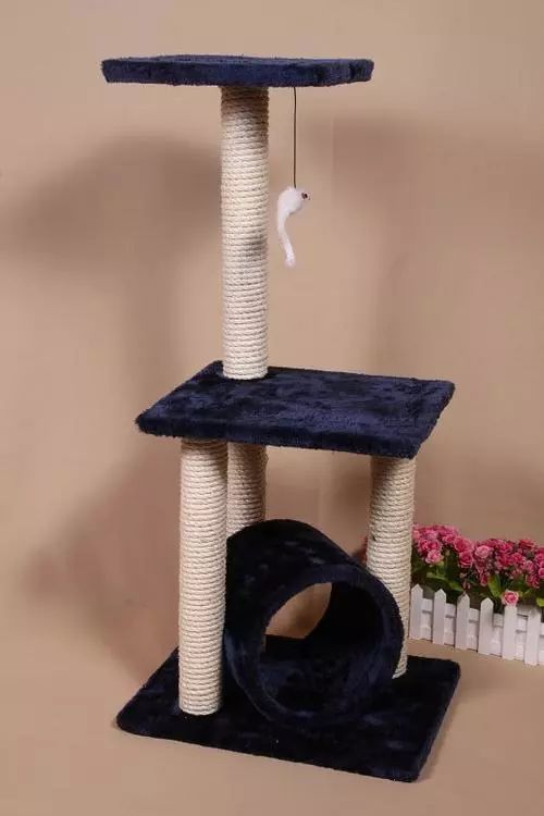 新到家猫咪需要做什么体检,猫咪到家第一夜铲屎官怎么做