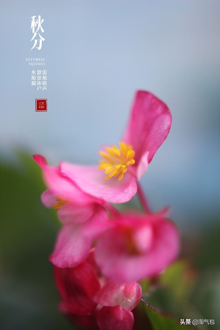 秋分一半热烈一半安详,秋分秋天分两半