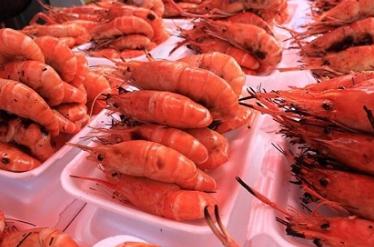 穿越泰国王朝，诉说大城小事/大城府篇