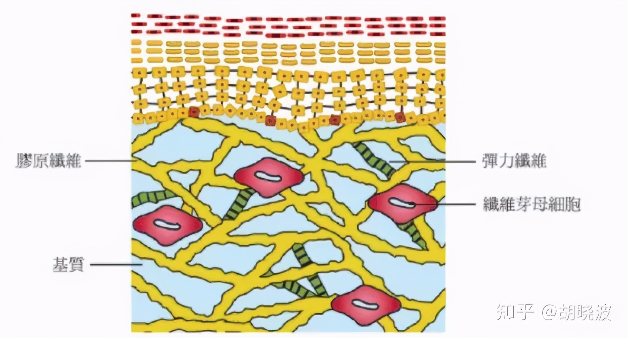 欧莱雅哪款眼霜中含玻色因,欧莱雅哪款含了玻色因高