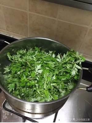 几月份艾草可以采摘了,艾草摘多了怎么保存更好