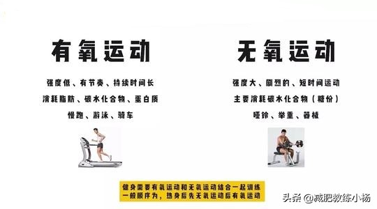 脂肪是如何被消耗和排出体外的,脂肪是如何通过运动被消耗掉的