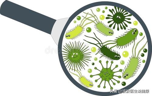 真菌细菌和病毒的区别表格,真菌细菌病毒感染的区别