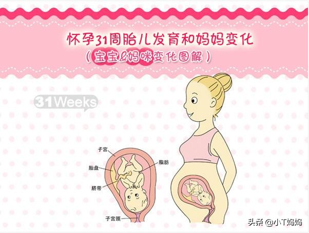 怀孕每个月的注意事项,准妈妈怀孕每个月应注意什么