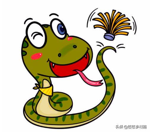 夏天农村蛇特别多怎么办,夏天农村蛇爱出去怎么办