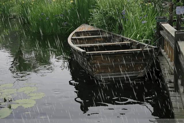 得饶人处且饶人：三位智者的诗教会我们正确地为人处世