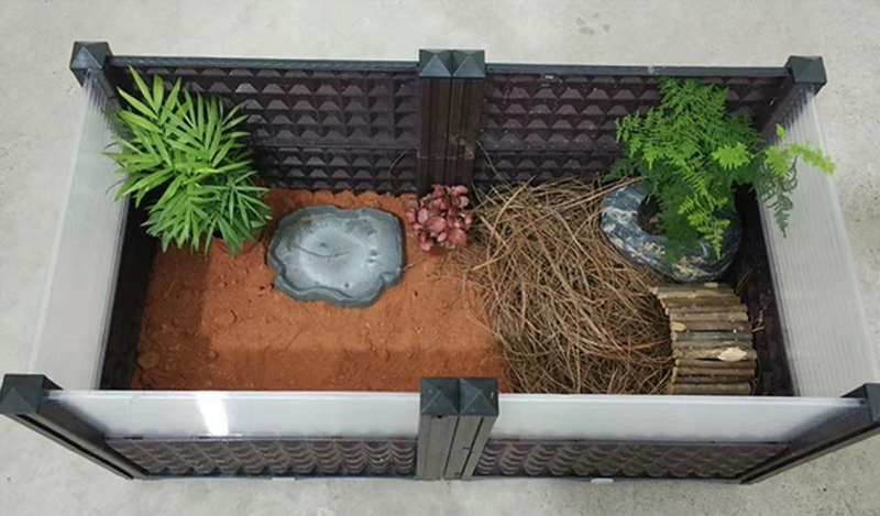 黄缘龟和黄喉拟水龟的区别,黄缘龟是陆龟还是水龟