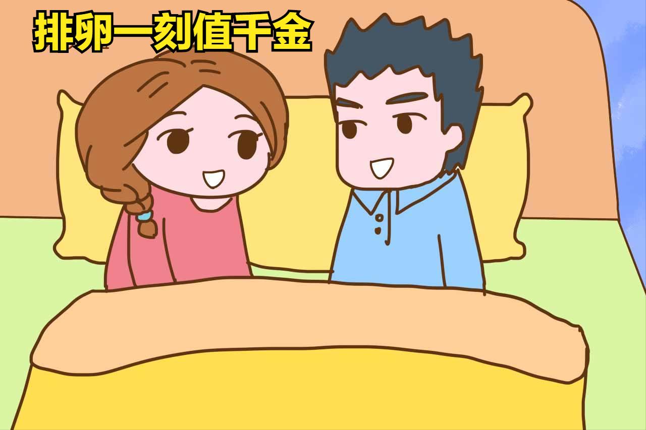 同房最佳时间？关于排卵那些事