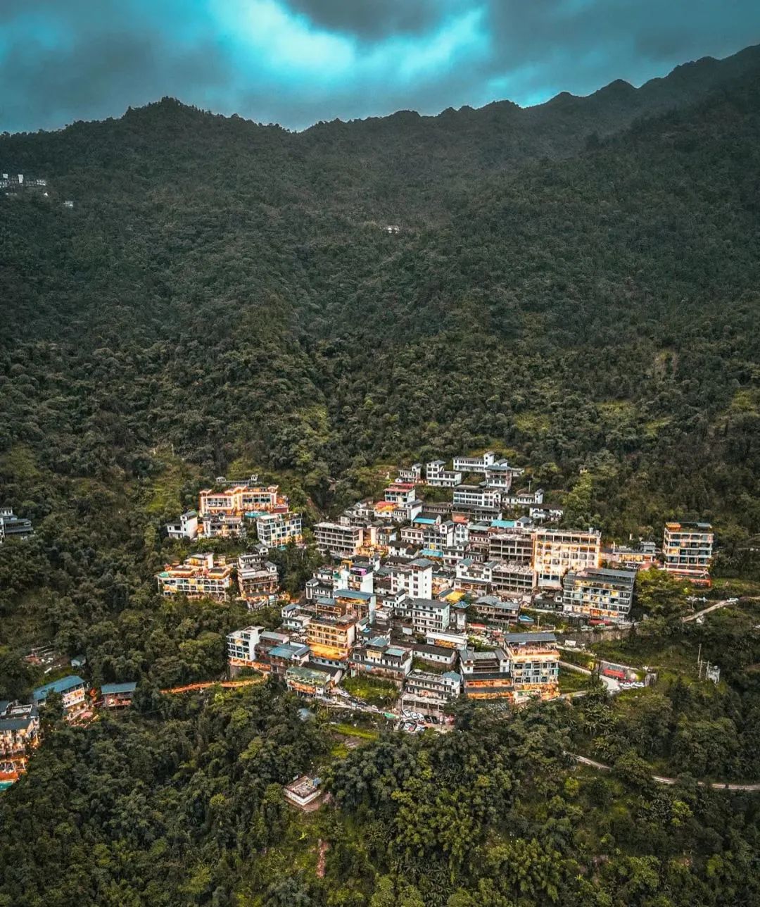 猫咪走太空步原视频最火,猫咪壁虎漫步视频