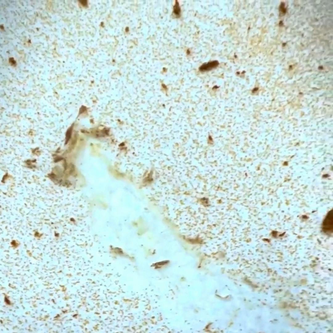 汽车顶棚内饰翻新有褶皱怎么解决,汽车顶棚翻新全过程