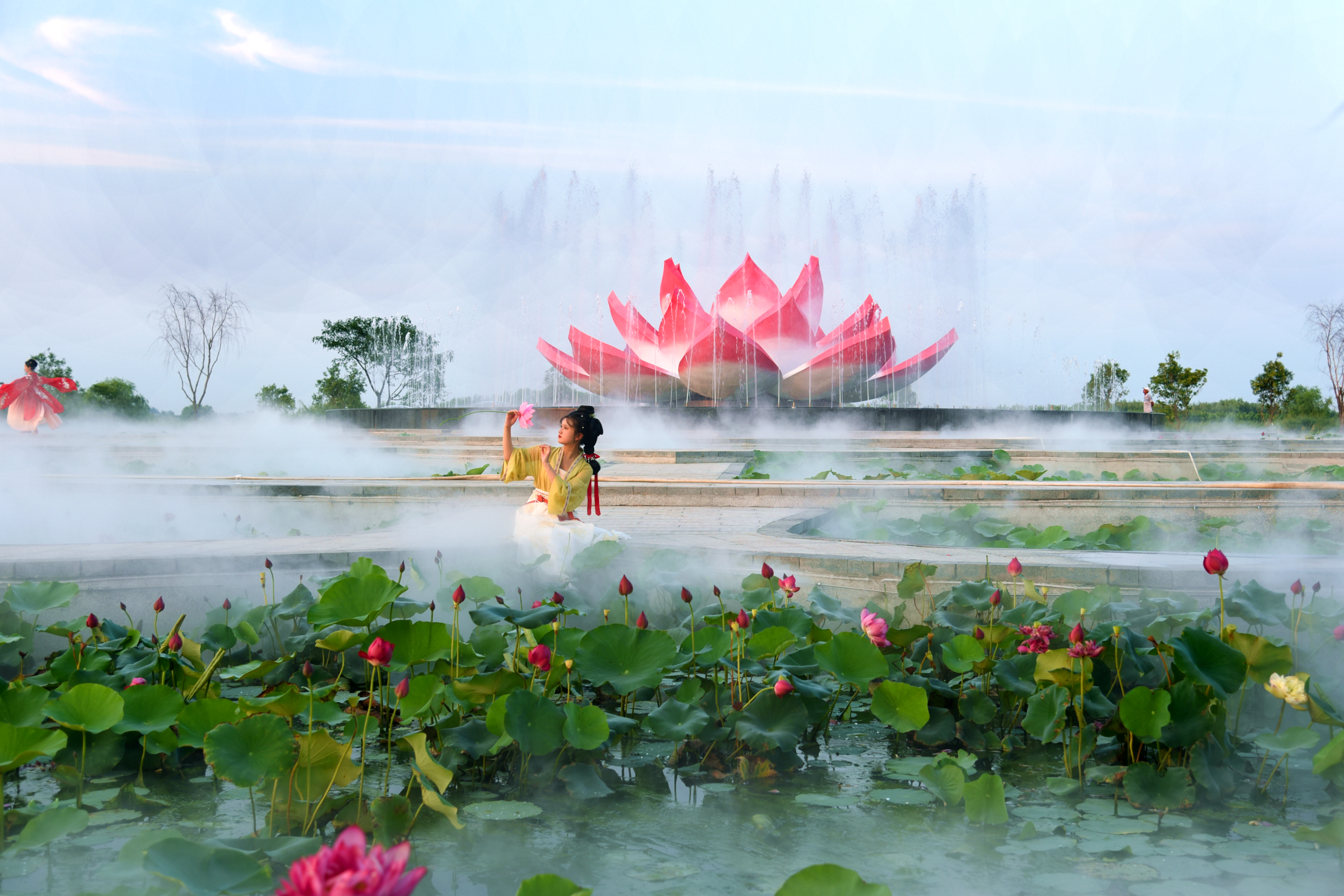 河南周口第一届荷花节,周口淮阳最美荷花节开幕