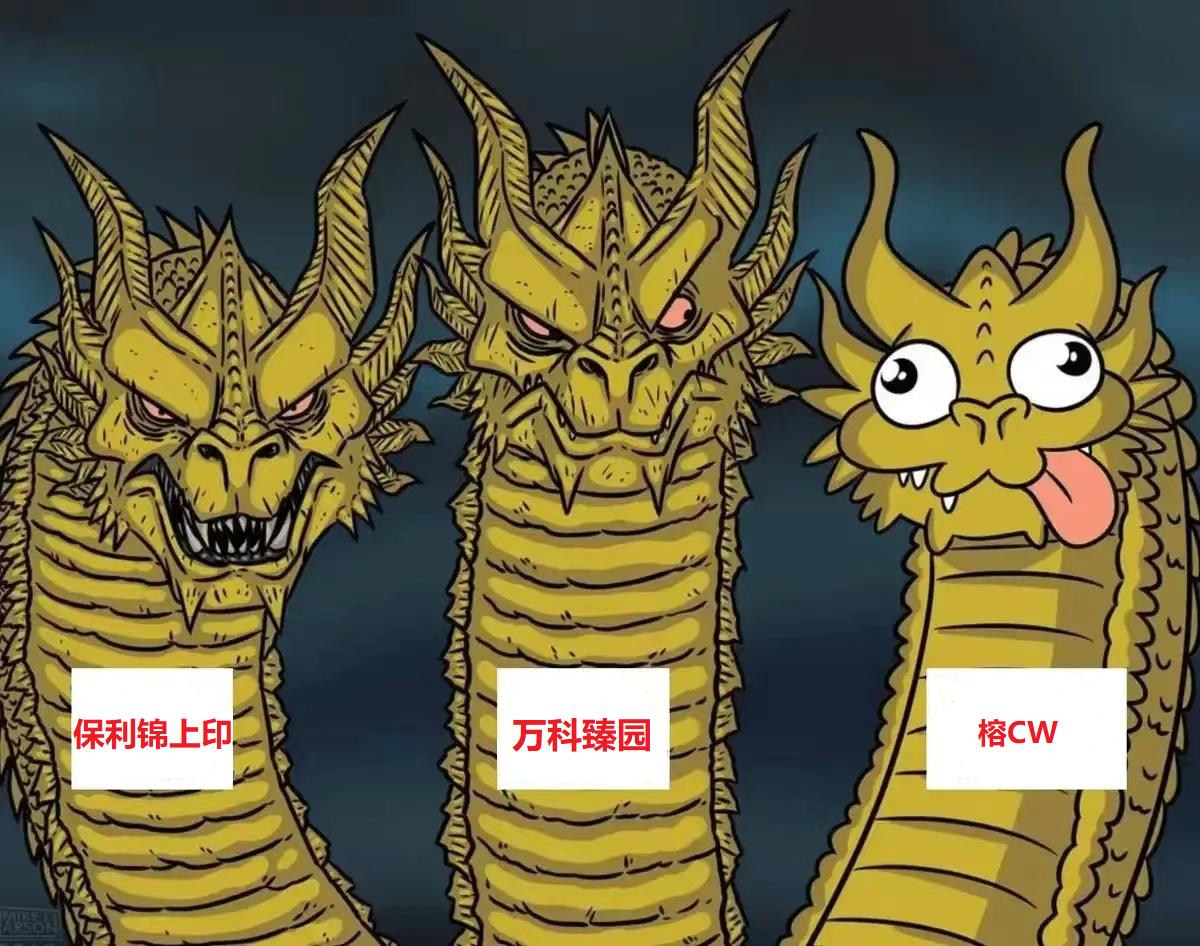 万科臻园广州保利锦上印,荔湾保利锦上印优缺点