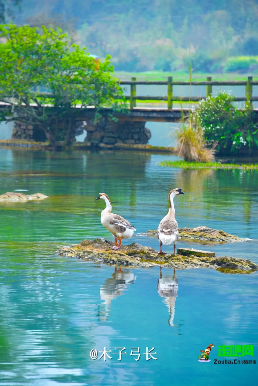 避暑游必去的地方,避暑推荐旅游攻略