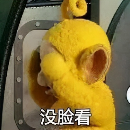 你有一想到就情不自禁笑的人吗,有没有一个人让你一想到就会笑