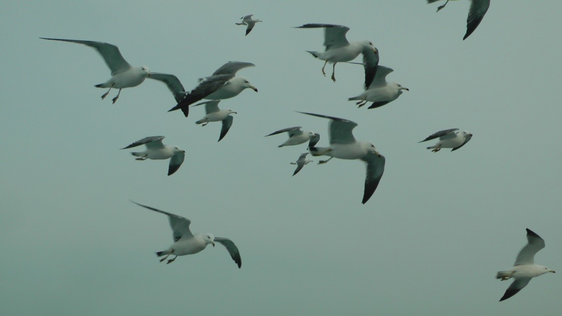 2014年G韩国行12.景福宫