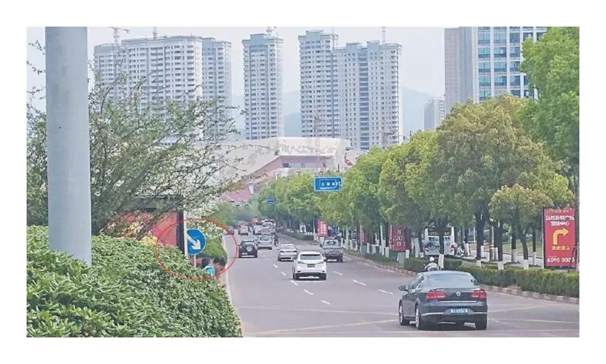 浙江美丽乡村旅游视频,浙江考察美丽乡村建设纪实